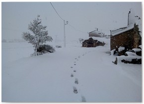 Nieve2